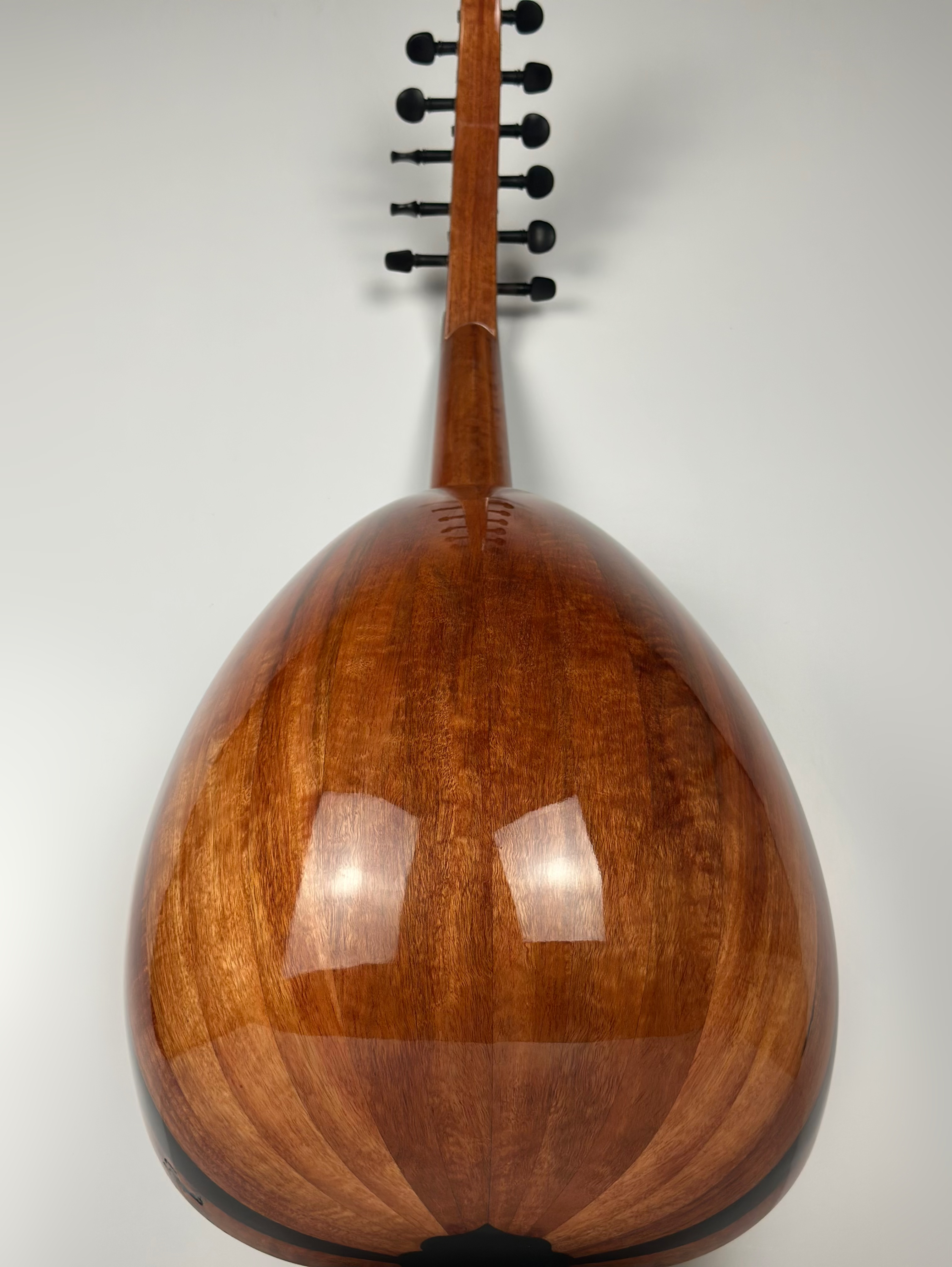 عود طرب 3  | T3 Oud